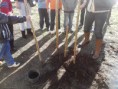/album/trabalhando-para-um-planeta-melhor/p201111-14-00-jpg/
