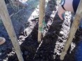 /album/trabalhando-para-um-planeta-melhor/p201111-14-02-jpg/